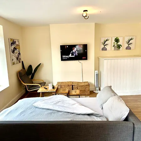 Dvmescape Flat1 Бристоль